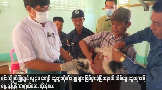 Embedded thumbnail for အိမ်မွေးခွေးများကို ခွေးရူးပြန်ကာကွယ်ဆေးထိုးနှံပေး