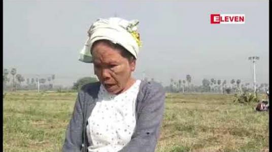 Embedded thumbnail for ဆားလင်းကြီးမြို့နယ် ကျော်ရွာ-မင်္ဂလာကုန်းကျေးရွာဝန်းကျင်မှ ကြက်သွန်နီစိုက်ခင်း အများအပြား အကြောင်းမဲ့ ထိခိုက်ပျက်စီး နေကြောင်း တောင်သူများပြော 